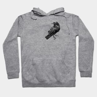 Raven Hoodie